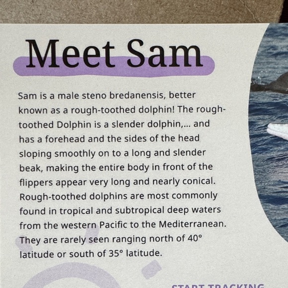 Fahlo Purple and White Bracelet - Sam the Dolphin - Picture 3 of 3
